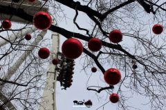 Magic Winter - 2015