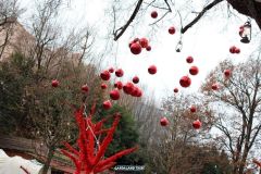 Magic Winter - 2015