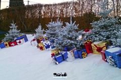 Magic Winter - 2015