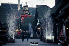 Magic Winter - 2015