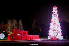Magic Winter - 2015