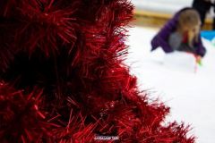 Magic Winter - 2015