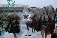 Magic Winter - 2015