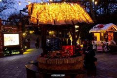 Magic Winter - 2015