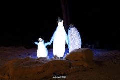 Magic Winter - 2015