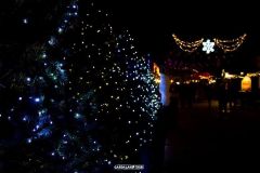 Magic Winter - 2015