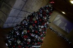 Magic Winter - 2016