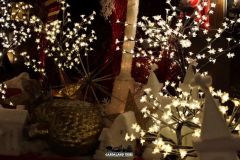 Magic Winter - 2016