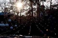 Magic Winter - 2018