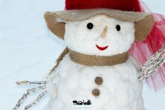Magic Winter - 2018