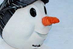 Magic Winter - 2018