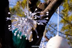 Magic Winter - 2019