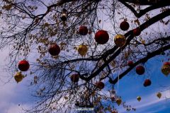 Magic Winter - 2019