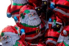 Magic Winter - 2019