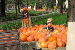 Camelot - Magic Halloween - 2007