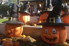 Camelot - Magic Halloween - 2015