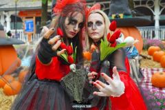 Camelot - Magic Halloween - 2018