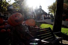 Camelot - Magic Halloween - 2018