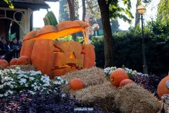 Camelot - Magic Halloween - 2019