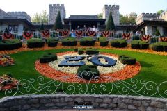 Camelot - Magic Halloween - 2022