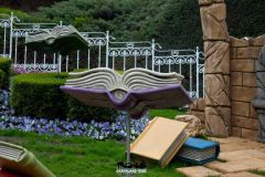 Camelot - Magic Spring - 2019