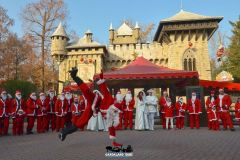Camelot - Magic Winter - 2015