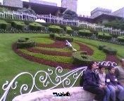 Orologio Floreale - 2006