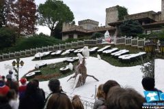 Orologio Floreale - 2014