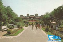 Camelot - Viale con Aiuole - 1978