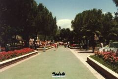 Camelot - Viale con fioriere - 1994
