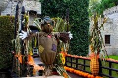 Ingresso - Magic Halloween - 2016