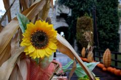 Ingresso - Magic Halloween - 2018