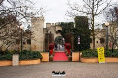 Ingresso - Magic Winter - 2022