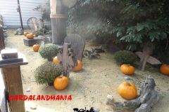 Rio Bravo - Magic Halloween - 2013