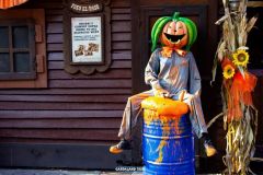 Rio Bravo - Magic Halloween - 2017