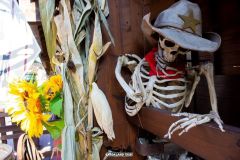 Rio Bravo - Magic Halloween - 2017