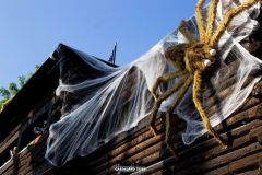 Rio Bravo - Magic Halloween - 2017