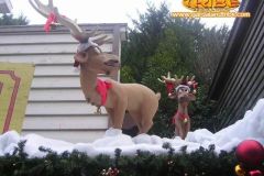Rio Bravo - Magic Winter - 2009