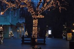 Rio Bravo - Magic Winter - 2013