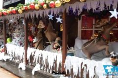 Rio Bravo - Magic Winter - 2014