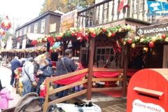 Rio Bravo - Magic Winter - 2014