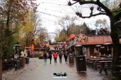 Rio Bravo - Magic Winter - 2014