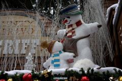 Rio Bravo - Magic Winter - 2017