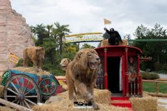 Souk Arabo - Magic Circus - 2018