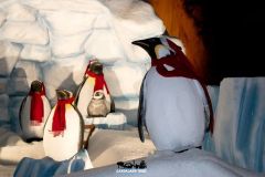 Souk Arabo - Magic Winter - 2018