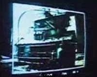 Sequoia adventure - Spot Tv