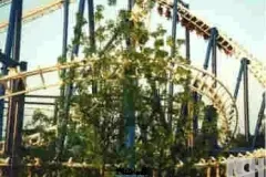 Gardaland-Tribe-Blue-Tornado-2002-10