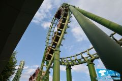 Magic Mountain - 2013