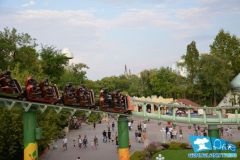 Magic Mountain - 2013
