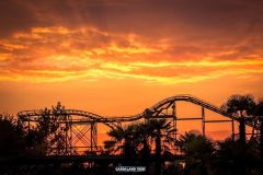 Magic Mountain - 2015